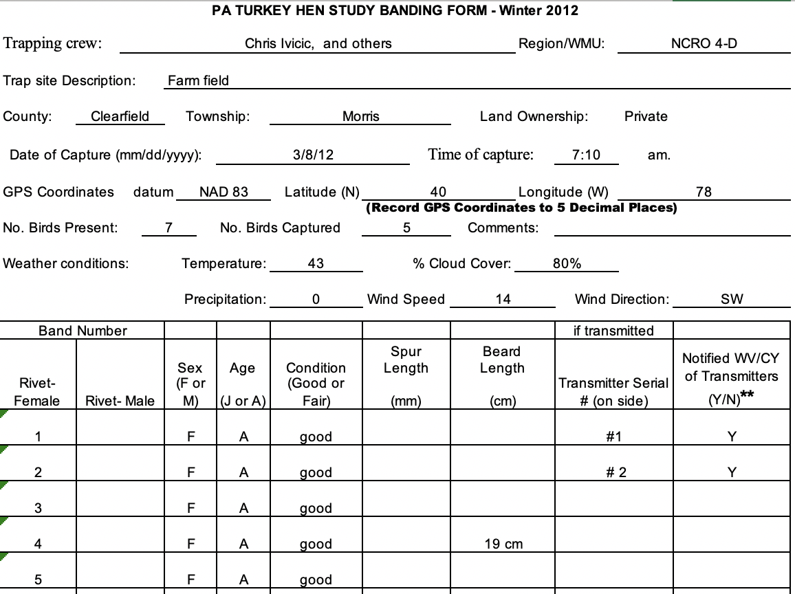 original banding information for 12 year old hen