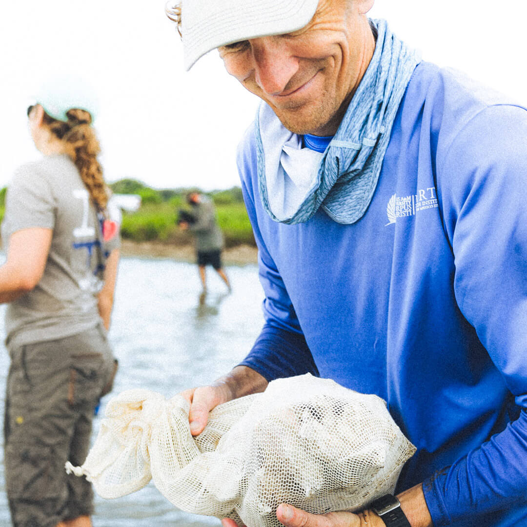 Oyster Project