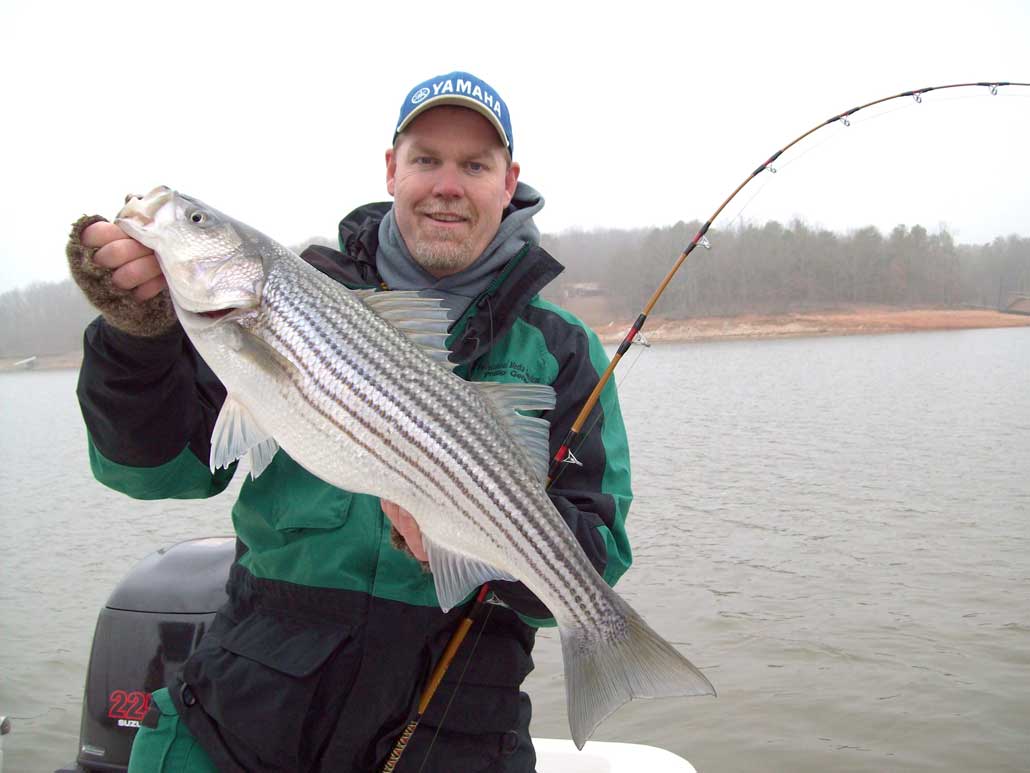 Phillip Gentry striped bass