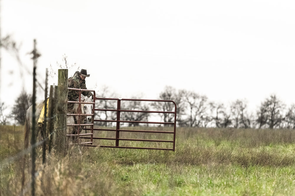 property gate