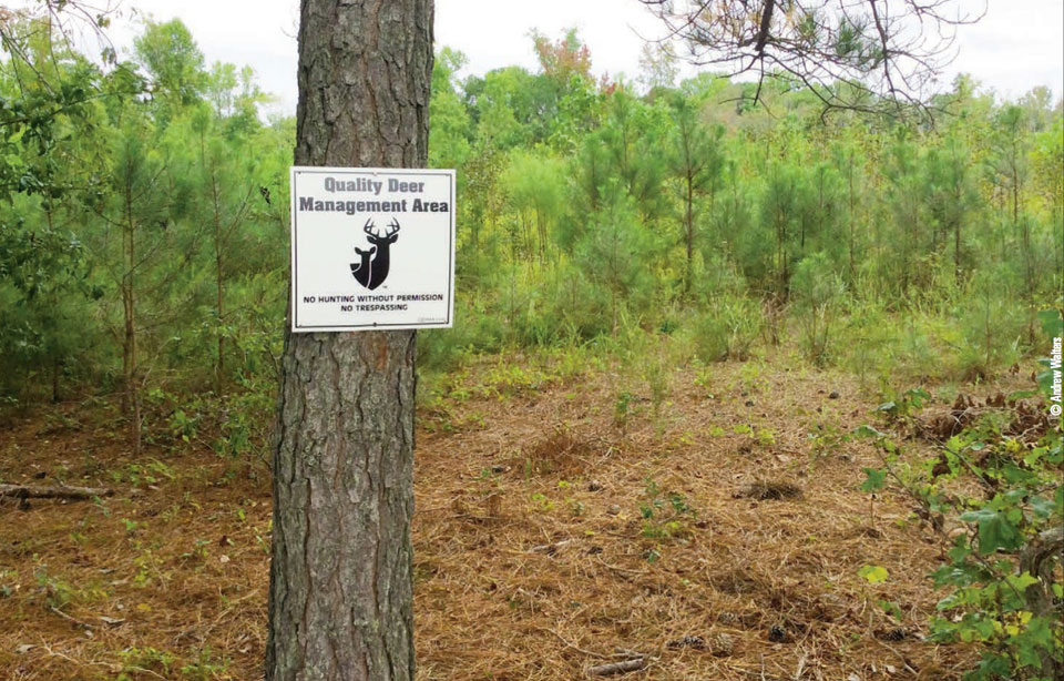 deer sanctuary sign