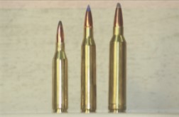 Remington Winchester cartridges