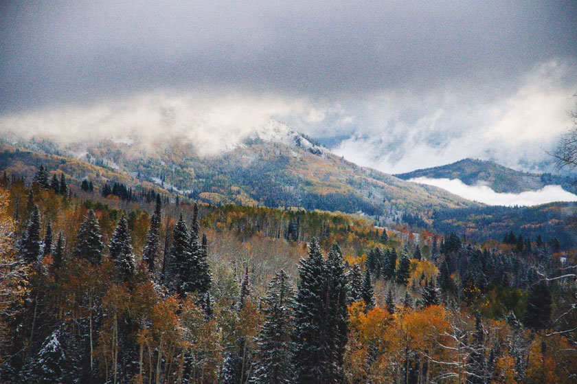 hunting in the Rocky Mountain