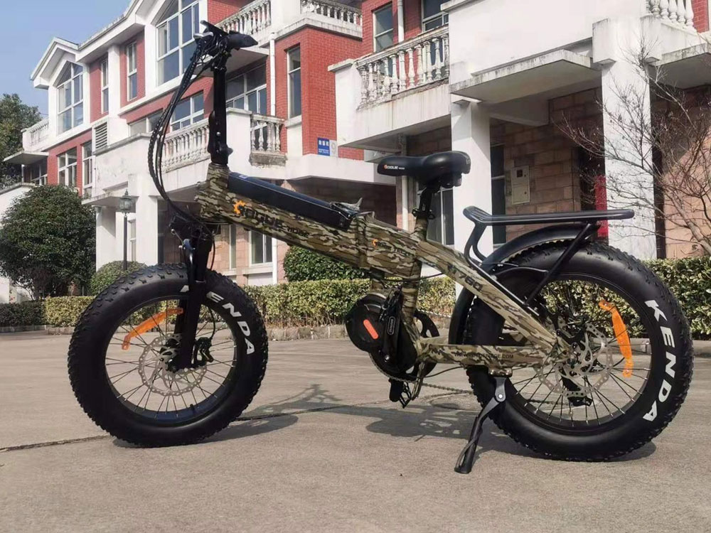 Rogue Ridge electric bike camo