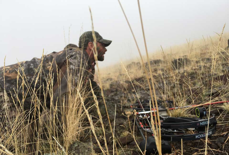 Ryan Hay mule deer stalking