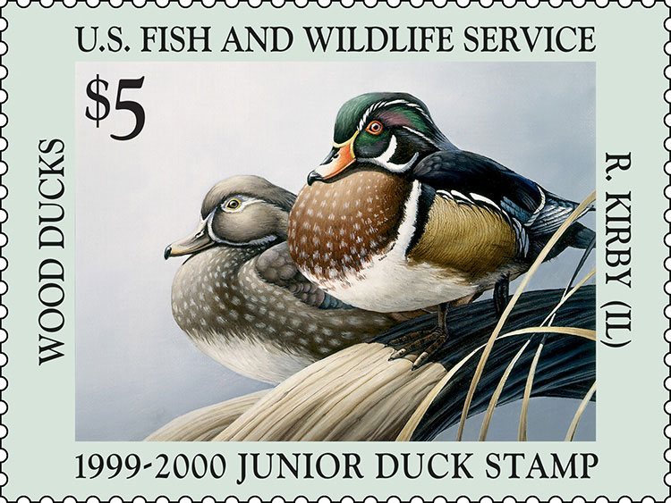 Ryan Kirby duck stamp