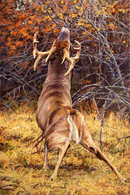Ryan Kirby deer painting