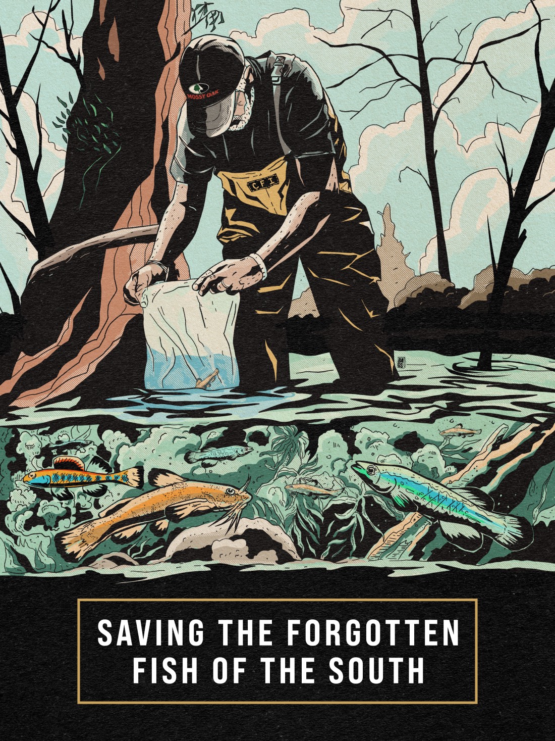 graphic of a man releasing fish with the title "saving the forgotten fish of the south"