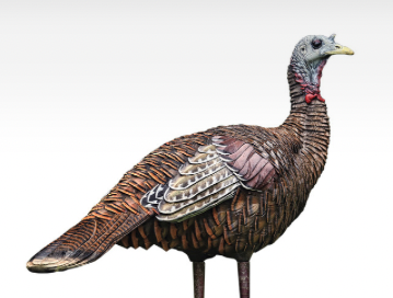 turkey decoy