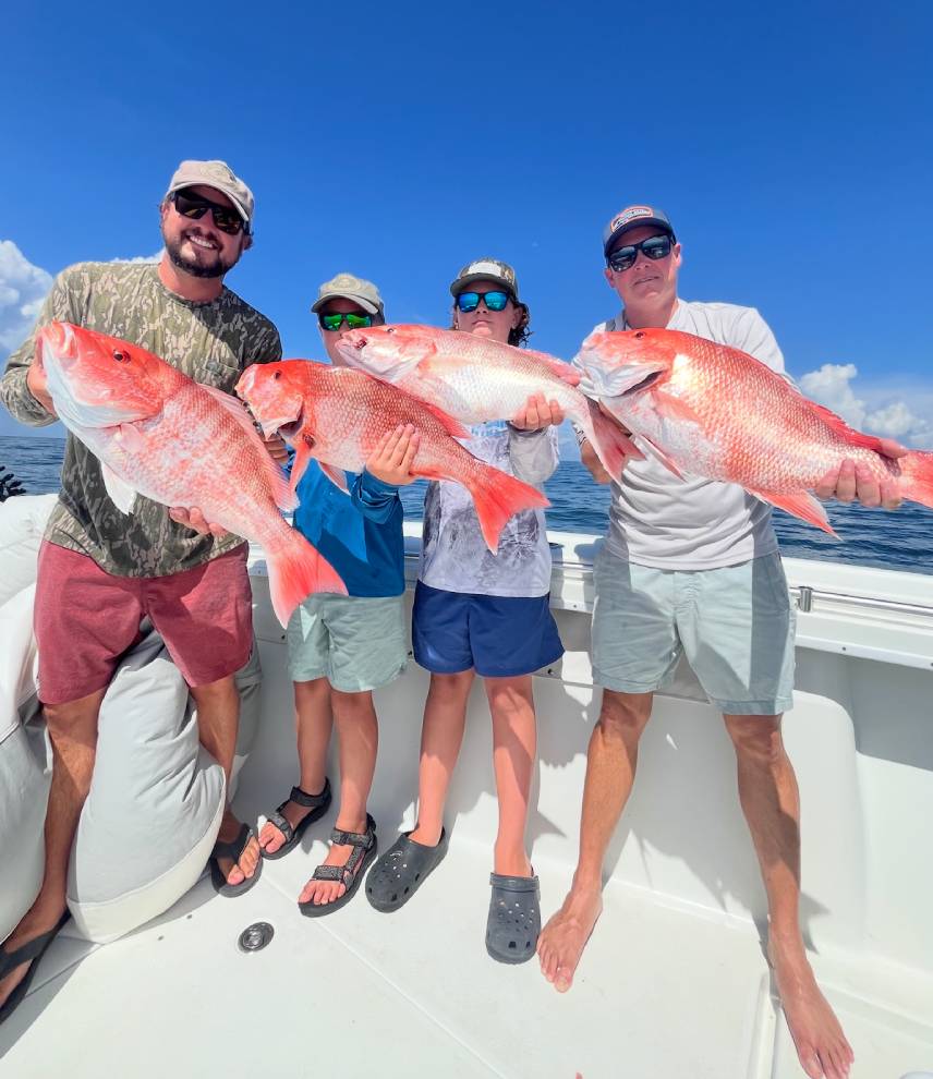 snapper 2
