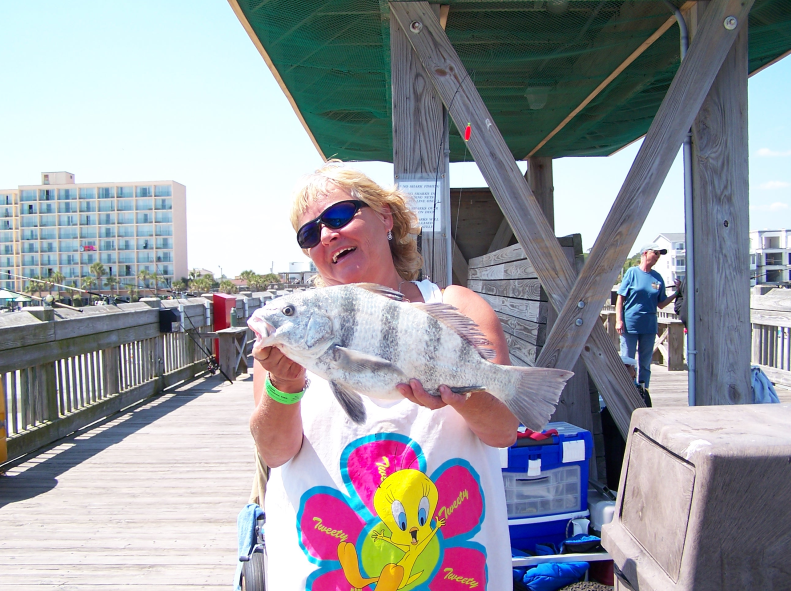 Pier Fishing 2