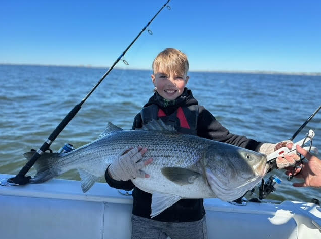 Fall Striper