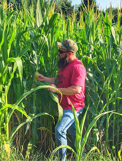 Sean Lundy corn crop