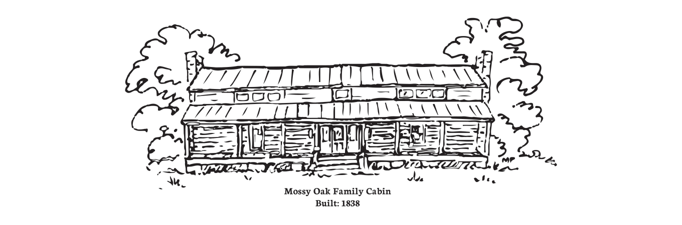 Mossy Oak family cabin - Built 1838