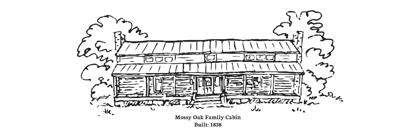 Mossy Oak family cabin - Built 1838