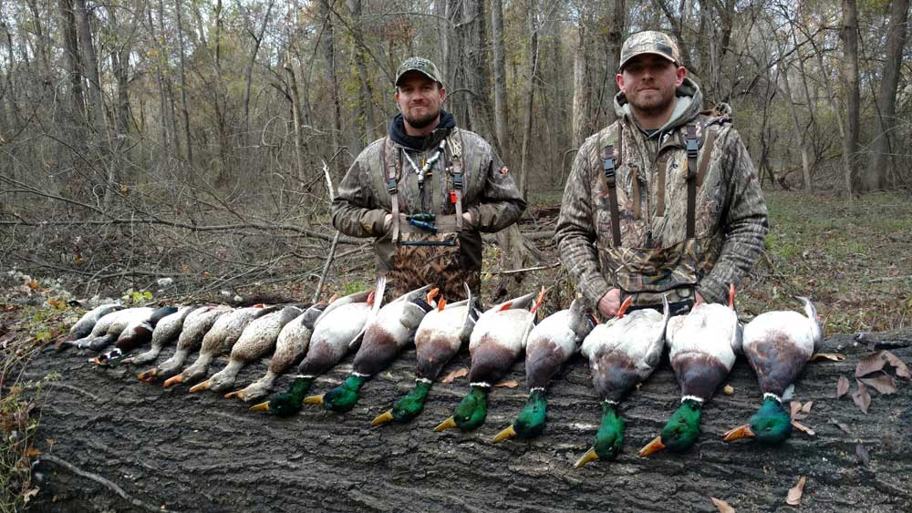 Shane Smith public land duck hunting