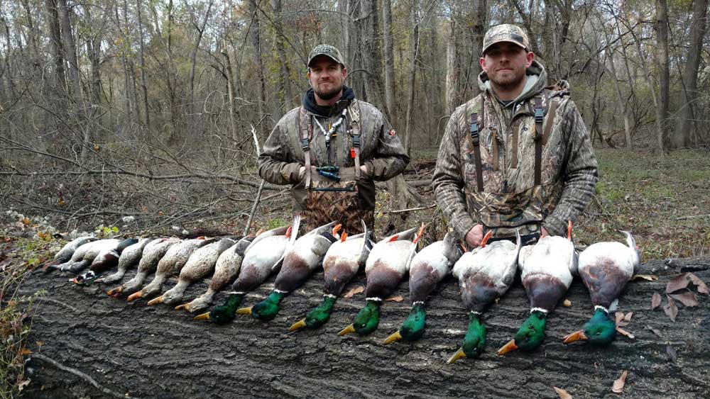 5 Tips For a Better Spring Snow Goose Season