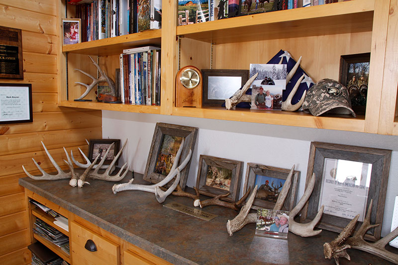 Shed antler decor