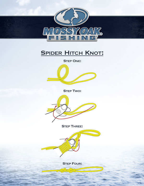 how to tie a spider hitch knot