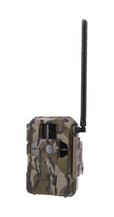 Stealth Cam cellular Bottomland