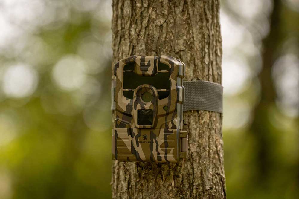 Stealth Cam Prowler Bottomland