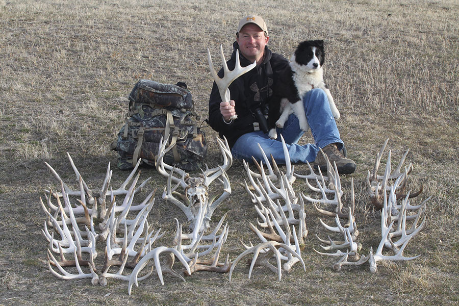 Successful Shed Hunting