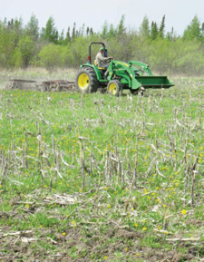 planting crops