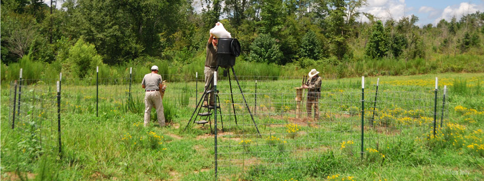 hog pen prep