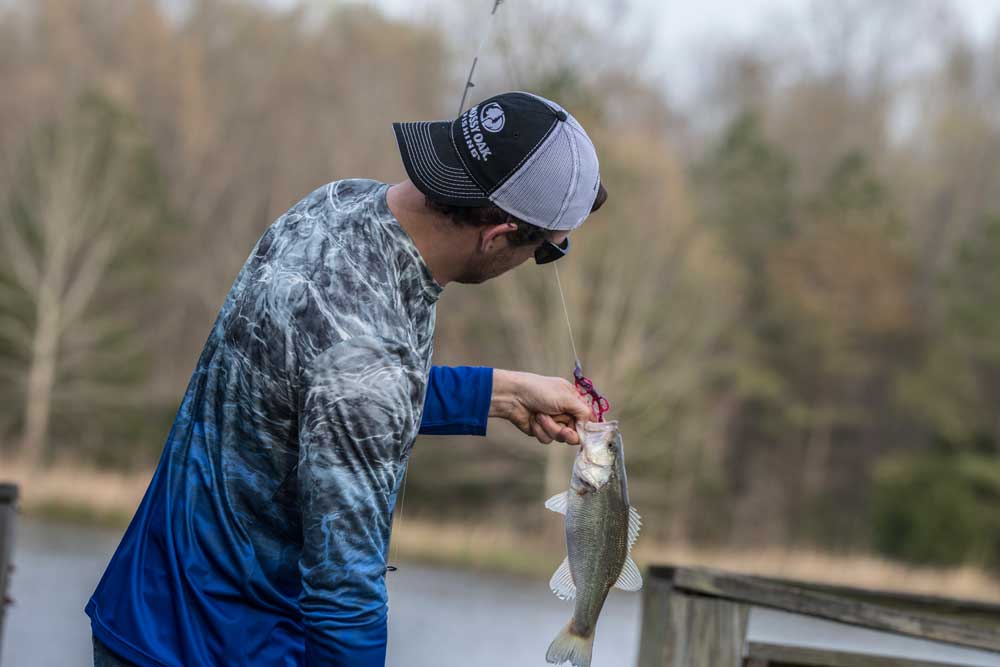 Texas Rig bass fishing