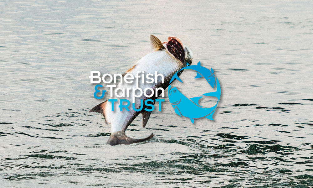 bonefish and tarpon trust