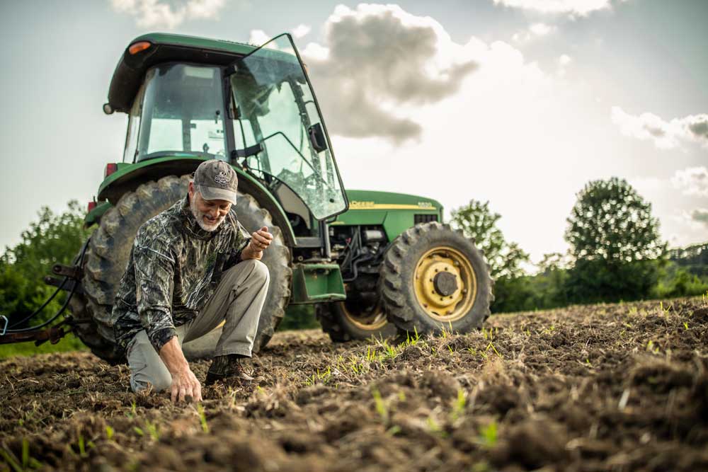 preparing food plot