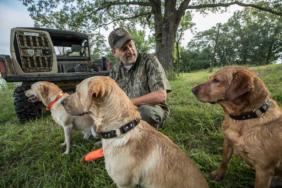 hunting dogs