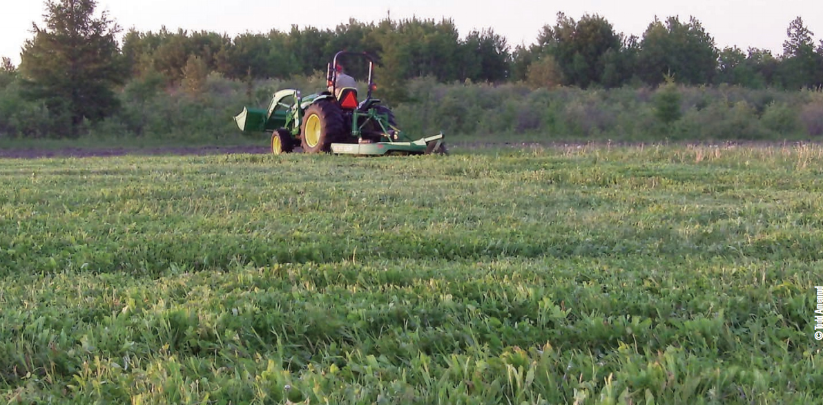 Tractor using a rotary cutter for a food plot