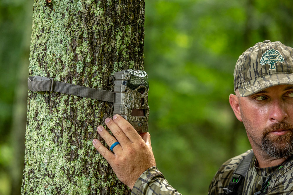 trail camera placement