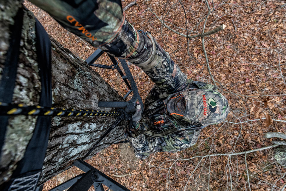 climbing a tree stand