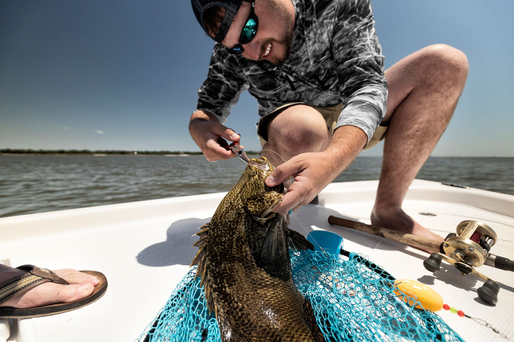 hooking a tripletail