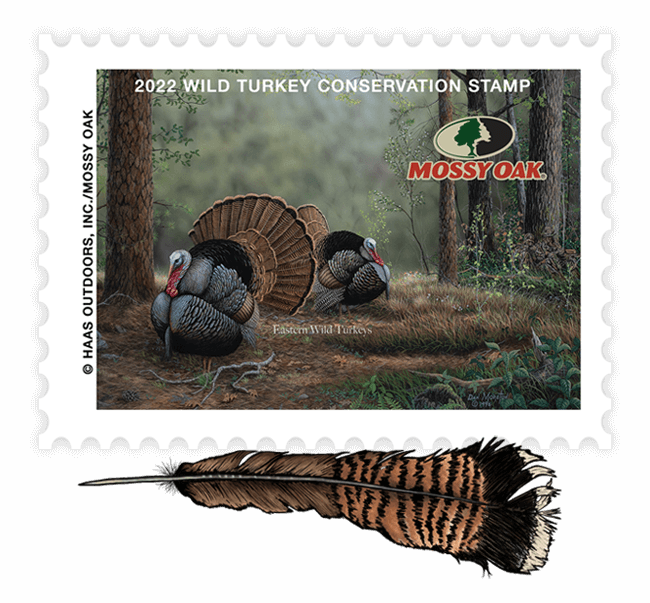 2022 Wild Turkey Conservation Stamp