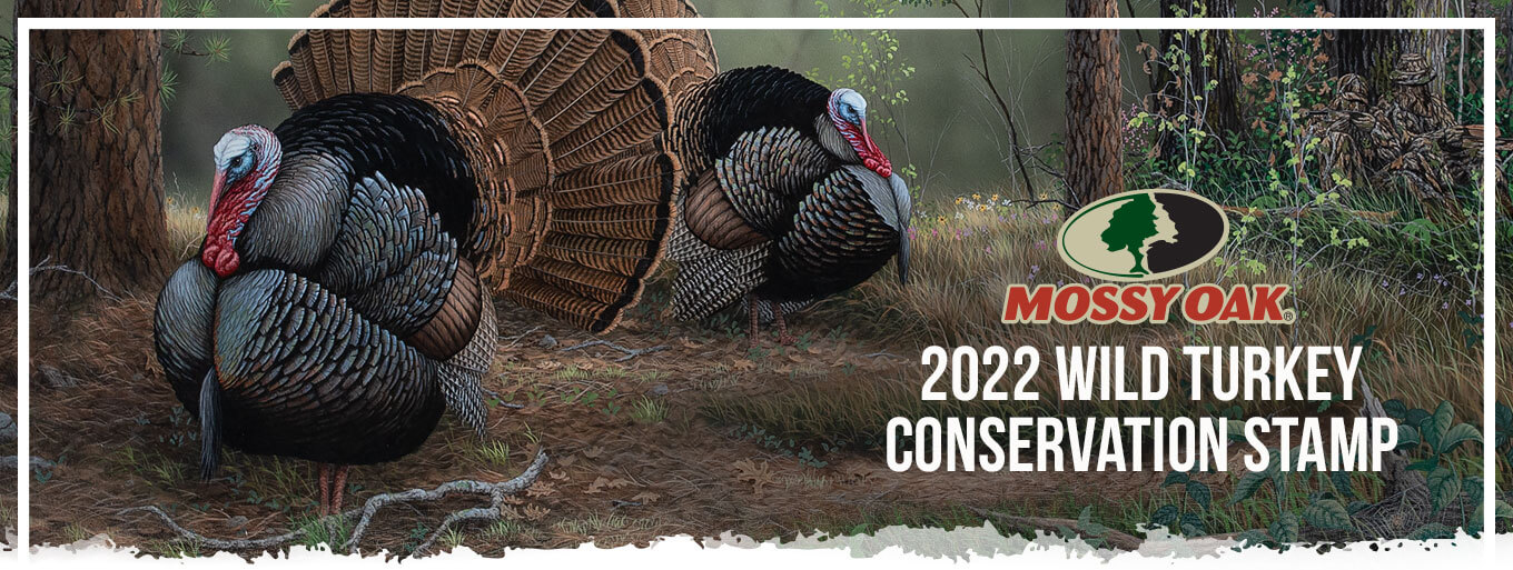 2022 Wild Turkey Conservation Stamp