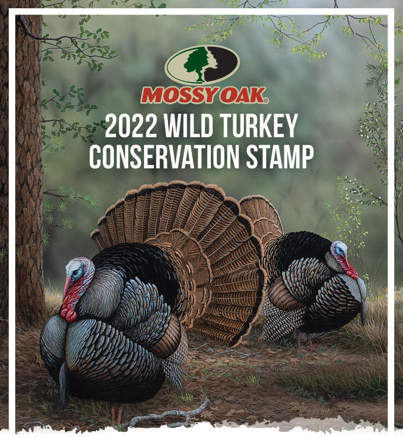 Wild Turkey Stamp Mossy Oak