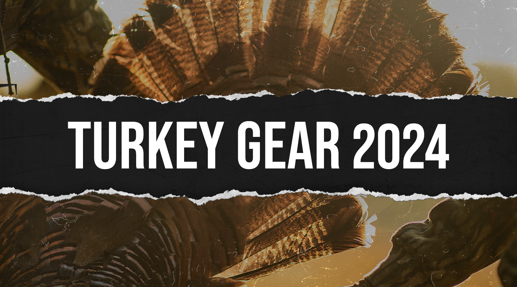 turkey gear banner