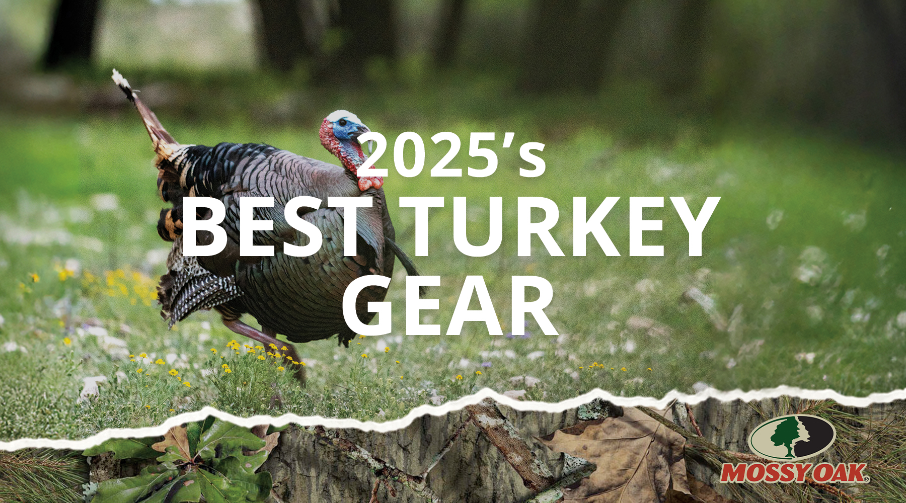 turkey gear
