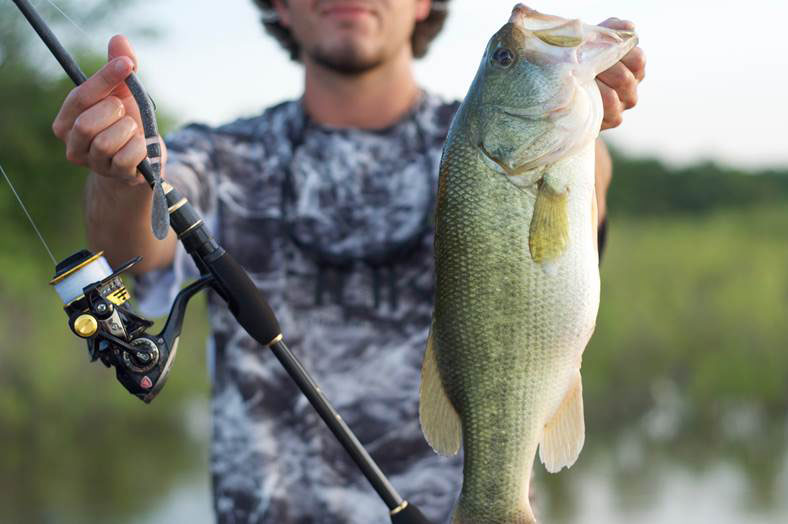 Spinning Tackle Produces Big Bass