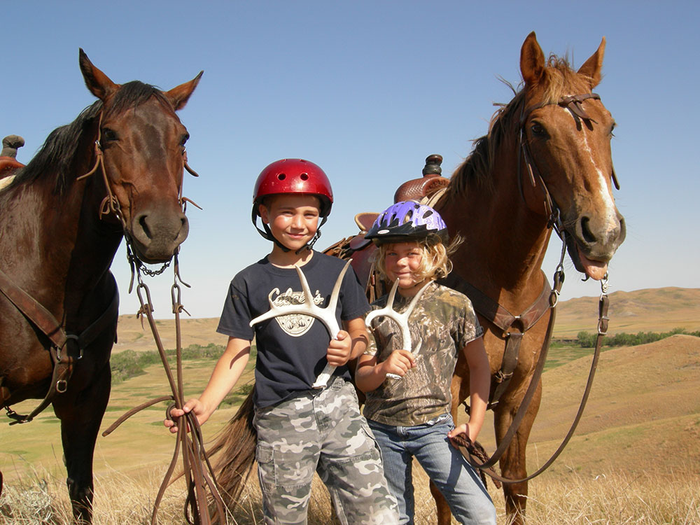 Using horses to find shed antlers