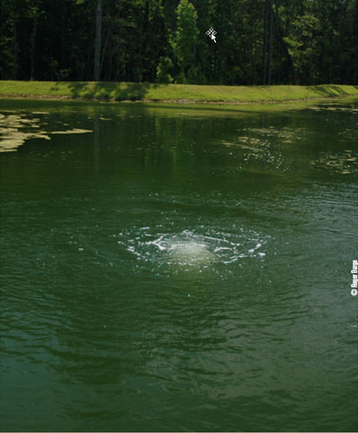 vertex aeration in pond