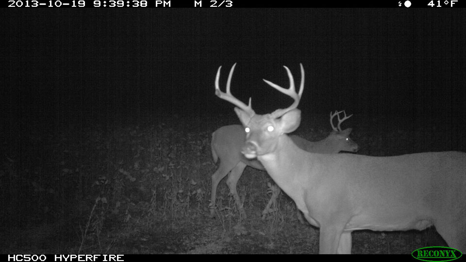 Virgel Shook KY buck