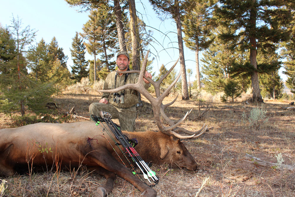 Will Primos bull elk