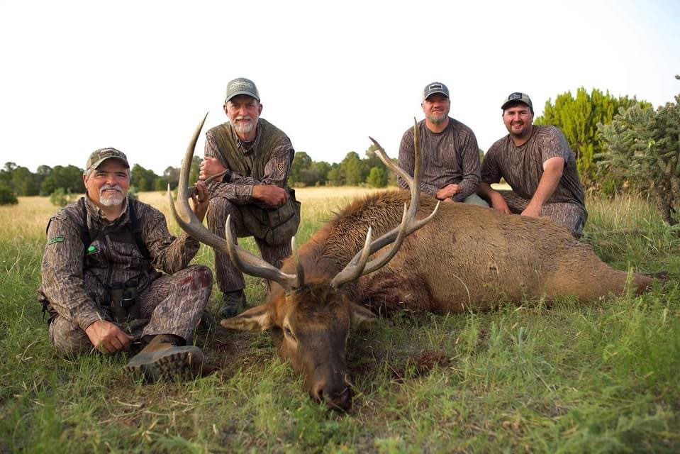 Will Primos bull elk