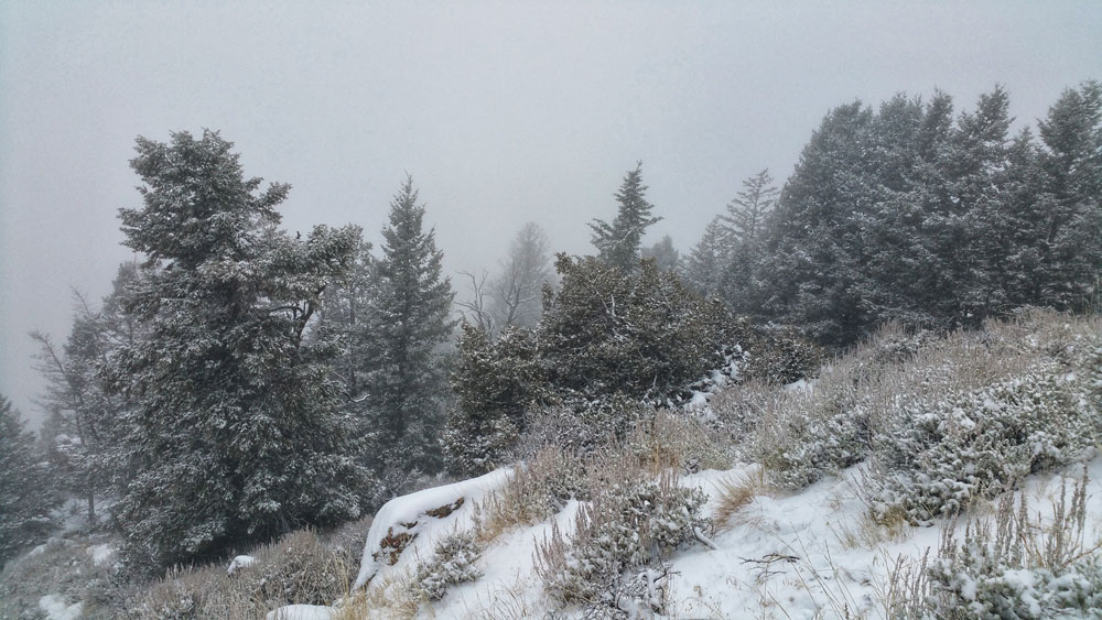 Mark Kayser Wyoming snow