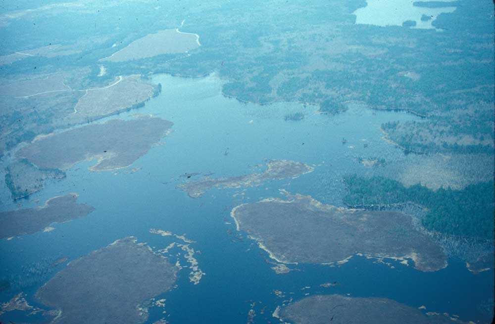 aerial view of waterfowl habitat