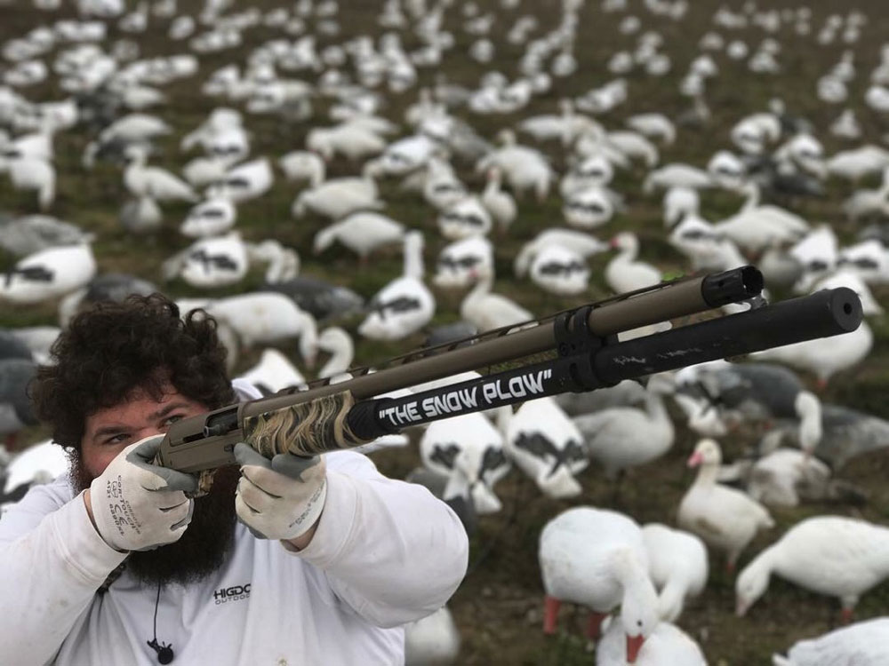 aiming at snow geese